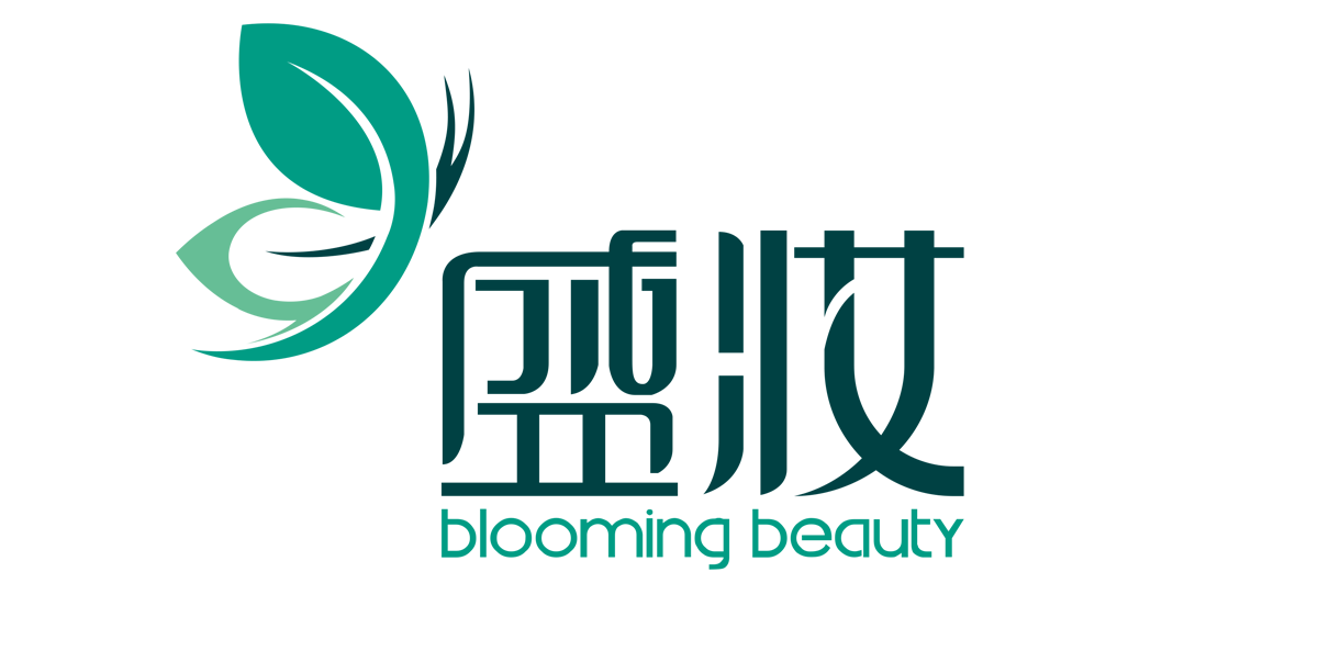 盛妆logo
